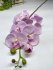 Ветка орхидеи ВО 079-1