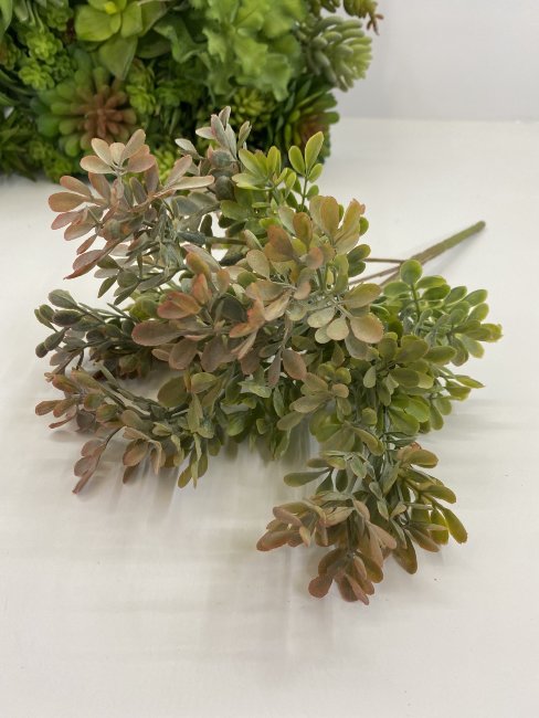 Эвалипт кустик Э 452-1
