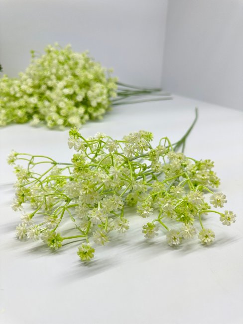 Гипсофила (10 шт.) Г 1247