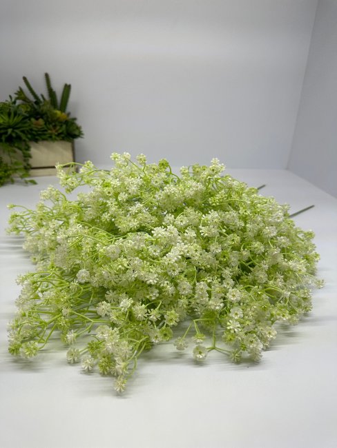 Гипсофила (10 шт.) Г 1247