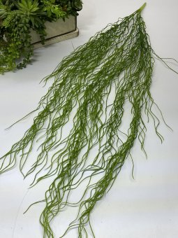 Зелень  ампельная За 1140