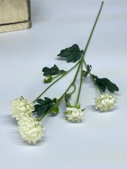 Хризантема Х 1276-2