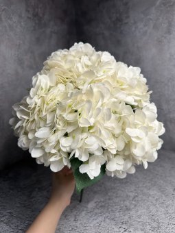Букет гортензии Бг 1473-1