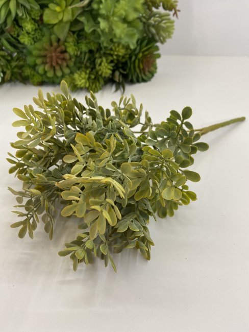 Эвкалипт кустик Э 452-3