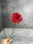 Гвоздика Г 1769