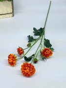 Хризантема Х 1276-4