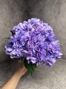 Букет гортензии Бг 1473-3