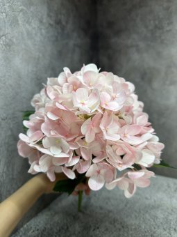 Букет гортензии Бг 1446-10
