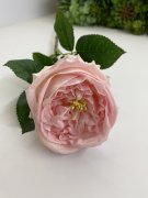 Ветка розы пионовидной премиум SM 4249