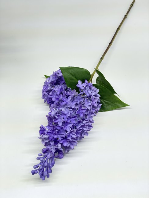 Ветка сирени Вс 1096-1