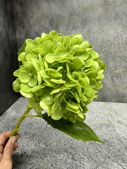 Ветка гортензии SM 1253-1