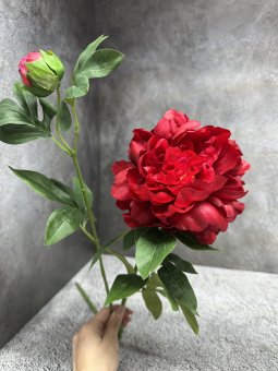 Ветка пиона Вп 1222-3
