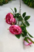 Ветка камелии ВКм 105-5 Ветка камелии ВКм 105-5
