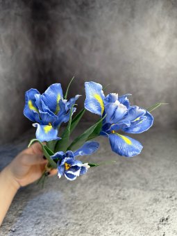 Букет ириса Би 1362