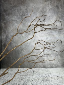 Коряга  К 1419