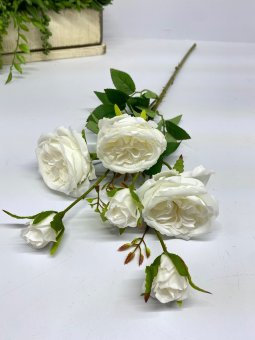 Ветка пиона Вп 1248-4