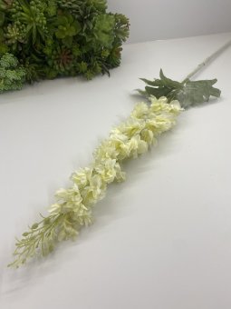 Матиолла М 580