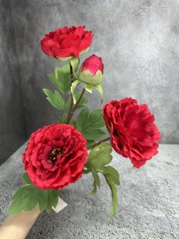 Ветка пиона Вп 1772-1