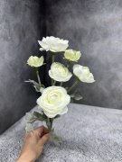 Камелия К 1827-7 Камелия К 1827-7