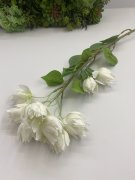 Ветка серрурии Вс 582-1 бел.