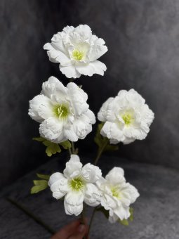 Миндаль М 1479-1