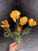 Ветка Космеи ВКс 063-3 Ветка Космеи ВКс 063-3
