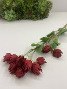 Ветка серрурии Вс 582-2 крас.