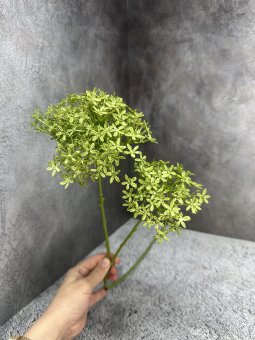 Ветка гортензии  Вг 1255-2