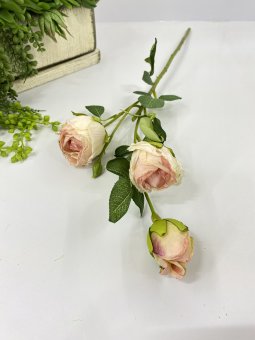 Ветка розы подвядшая  ВР 265-4