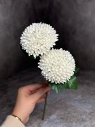 Хризантема Х 1540 Хризантема Х 1540