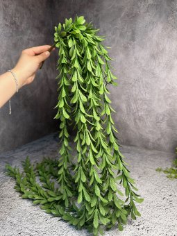 Зелень ампельная ЗА 1427