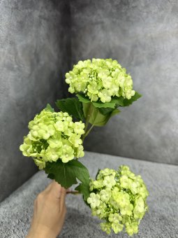 Вибирнум  три головы В 1202-5