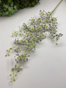 Ветка хаттонии ВХ 234 Ветка хаттонии ВХ 234