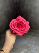 Голова розы Гр 585-1 Голова розы Гр 585-1