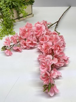 Ветка сакуры Вс 1147-1