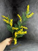 Ветка мимозы ВМз 404