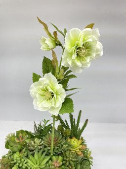 Ветка морозника Вм 1201-4