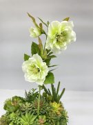 Ветка морозника Вм 1201-4