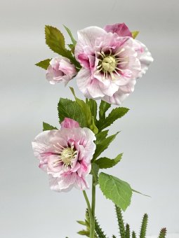 Ветка морозника Вм 1201-6
