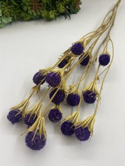 Сухоцвет Сх 464-4 фиолет.