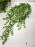 Зелень ампельная ЗАм 793 Зелень ампельная ЗАм 793