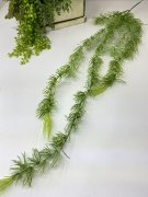 Аспарагус ампельный Аа 844 Аспарагус ампельный Аа 844