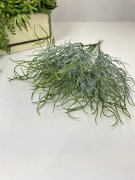 Водоросли В 845 Водоросли В 845
