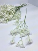Гипсофила (10 шт.) Г 1258