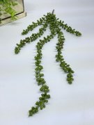 Фисташка амп. Ф 485