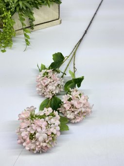 Вибурнум В 1202-2