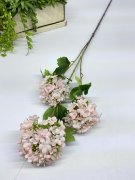 Вибурнум В 1202-2