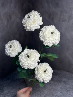 Лютики Л 1438-1