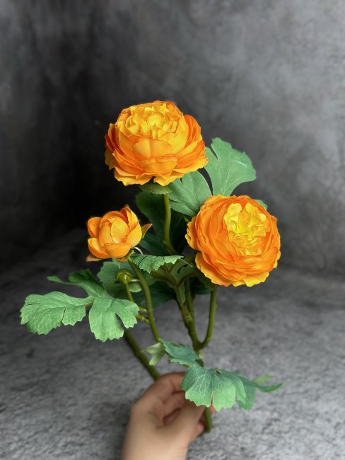 Ранункулюс Р 1439