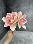 Амариллис А 1776-1 Амариллис А 1776-1